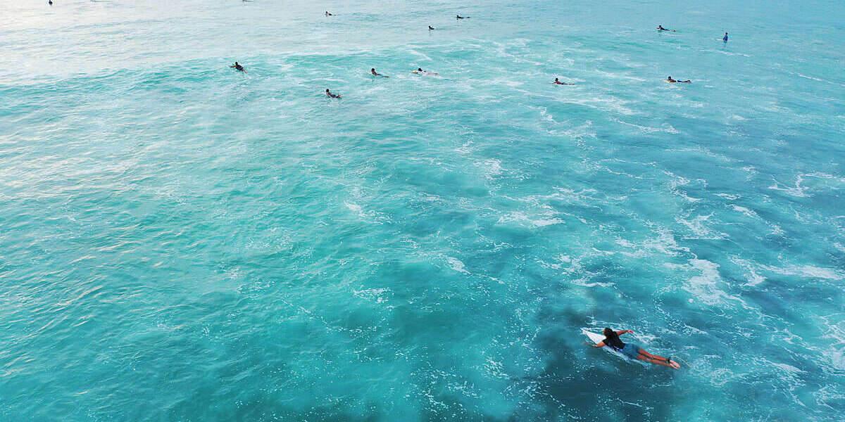 ISOSecGen's tweet card. No one can be left behind when it comes to protecting our planet. As it plays its part in setting standards for a better future, ISO is reinforcing its commitment to inclusivity. 