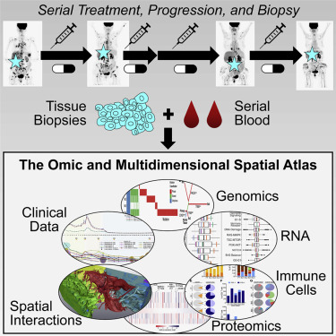jgoecks's tweet card. Identifying mechanisms of response and resistance to treatment in individual cancer patients is challenging but critical for improvement of precision medicine outcomes. Johnson et al. report a...