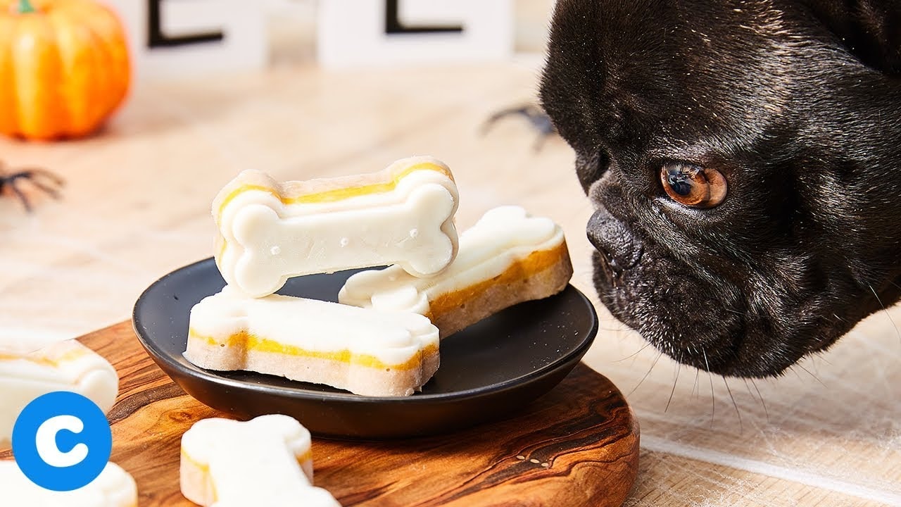 PetchaDogs's tweet card. Though real candy corn isn’t considered safe for dogs to eat, our homemade frozen candy corn dog bones are dog-friendly and vet-approved.