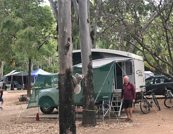 FreeNeuropatho's tweet card. by Clive Harper