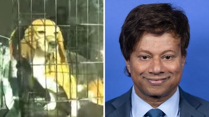 sci_clops's tweet card. "We believe that they have never been outside, ever..."