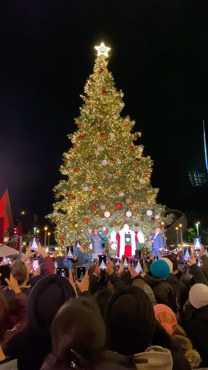 MWilsonMedia's tweet card. Distillery Winter Village Tree 🎄🎄🎄