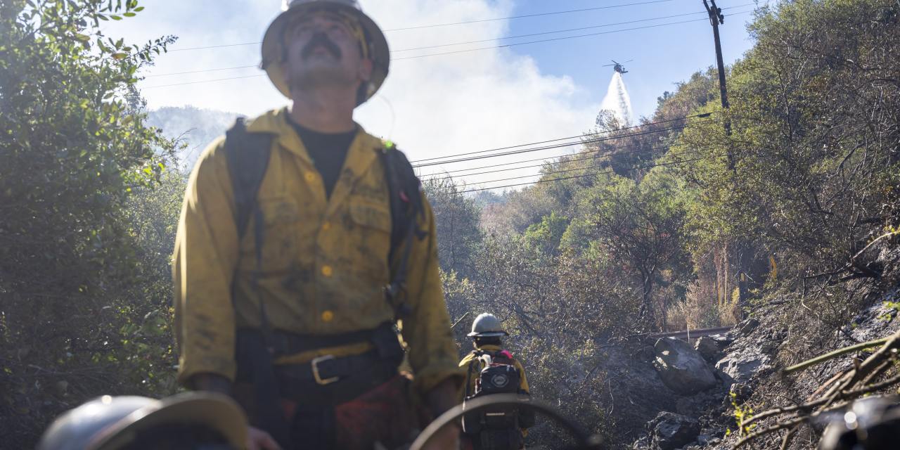 danielas_bot's tweet card. In spots like Topanga Canyon, strike teams from around the country face some of the most complex firefighting topography in the world.