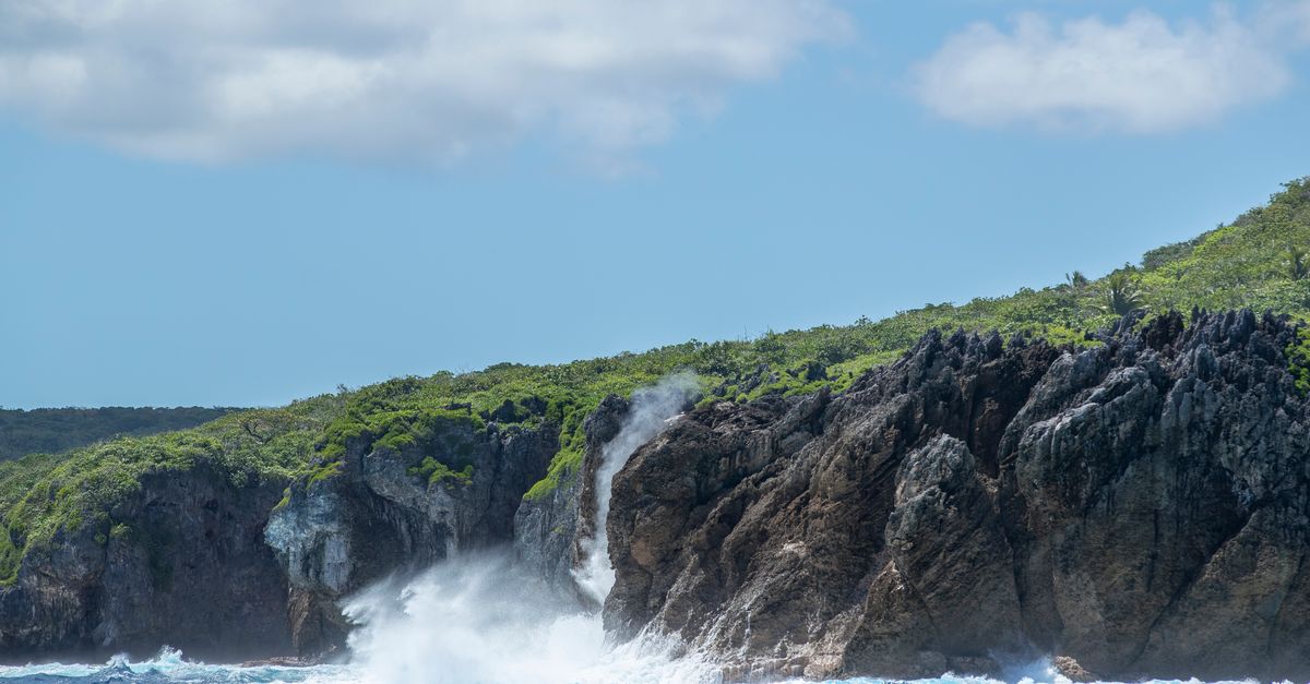 ConservationOrg's tweet card. The small South Pacific island nation of Niue recently launched a first-of-its-kind sustainable funding initiative that enables anyone to sponsor a square kilometer of its ocean waters — a sanctuary...