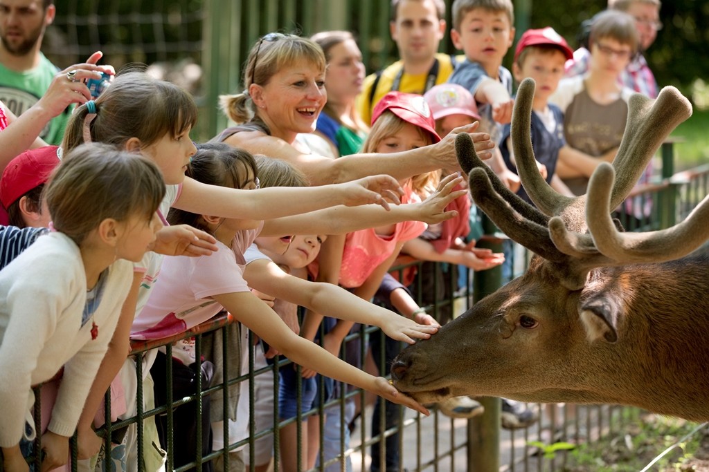 MassembreHeer's tweet card. Massembre is het domein voor duurzaam en eerlijk toerisme dat kwaliteitsvolle verblijven organiseert voor individuele families en groepen van mensen die elkaar willen ontmoeten en genieten van de...