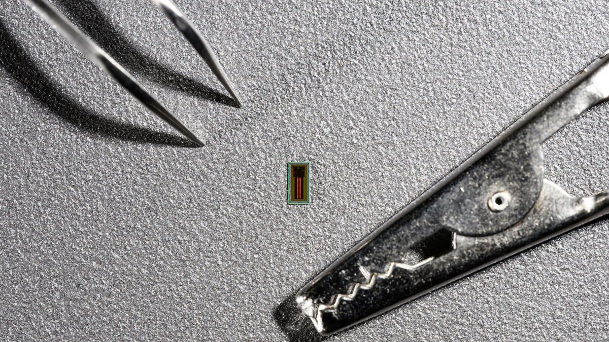 Ggtots1's tweet card. The brain-machine interface race is on. While Elon Musk's Neuralink has garnered most of the headlines in this field, a new small and thin chip out of Switzerland makes it look downright clunky by...