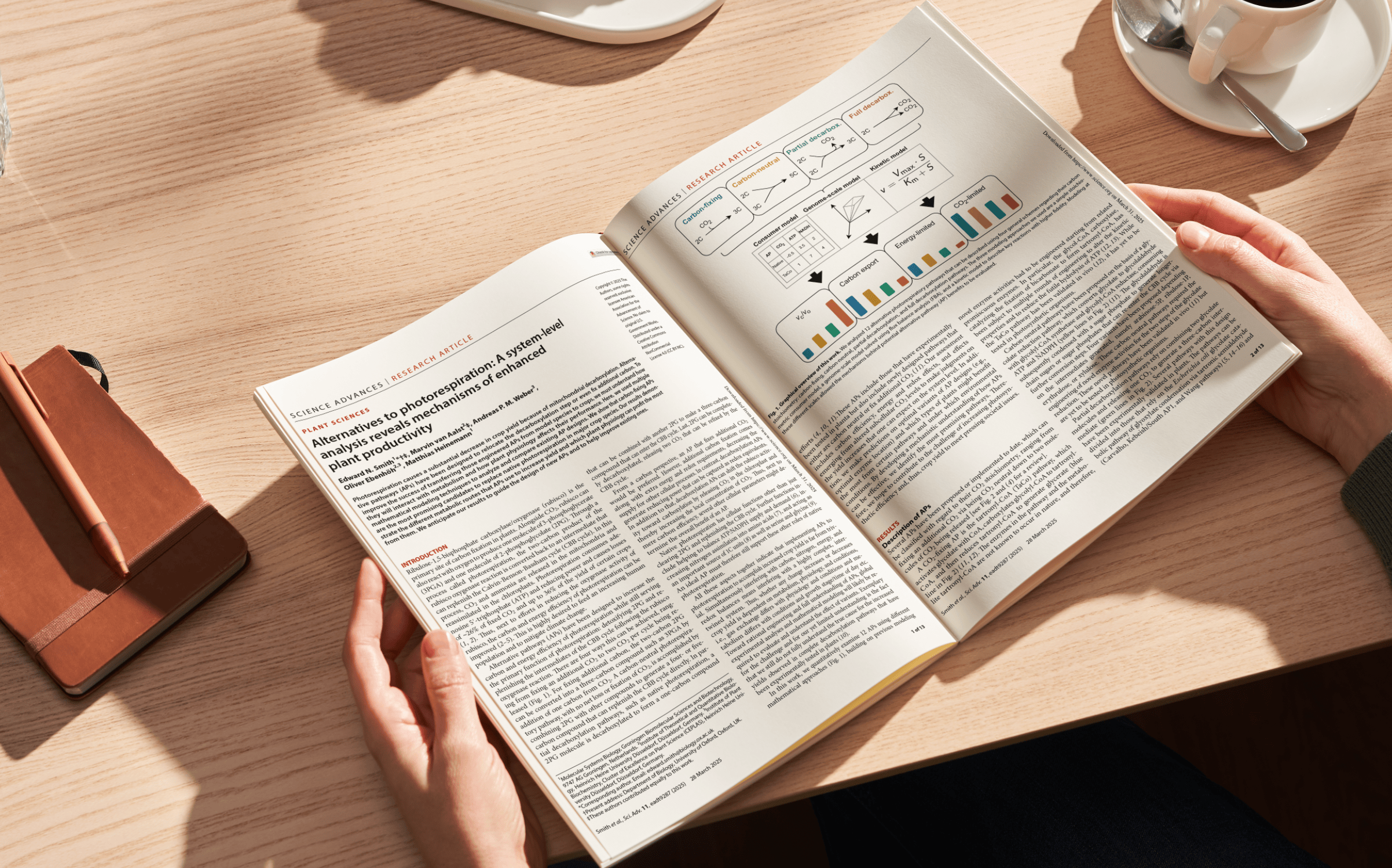 Crop4Clima's tweet card. Independent study confirms 20% productivity boost potential in climate-resilient crops.