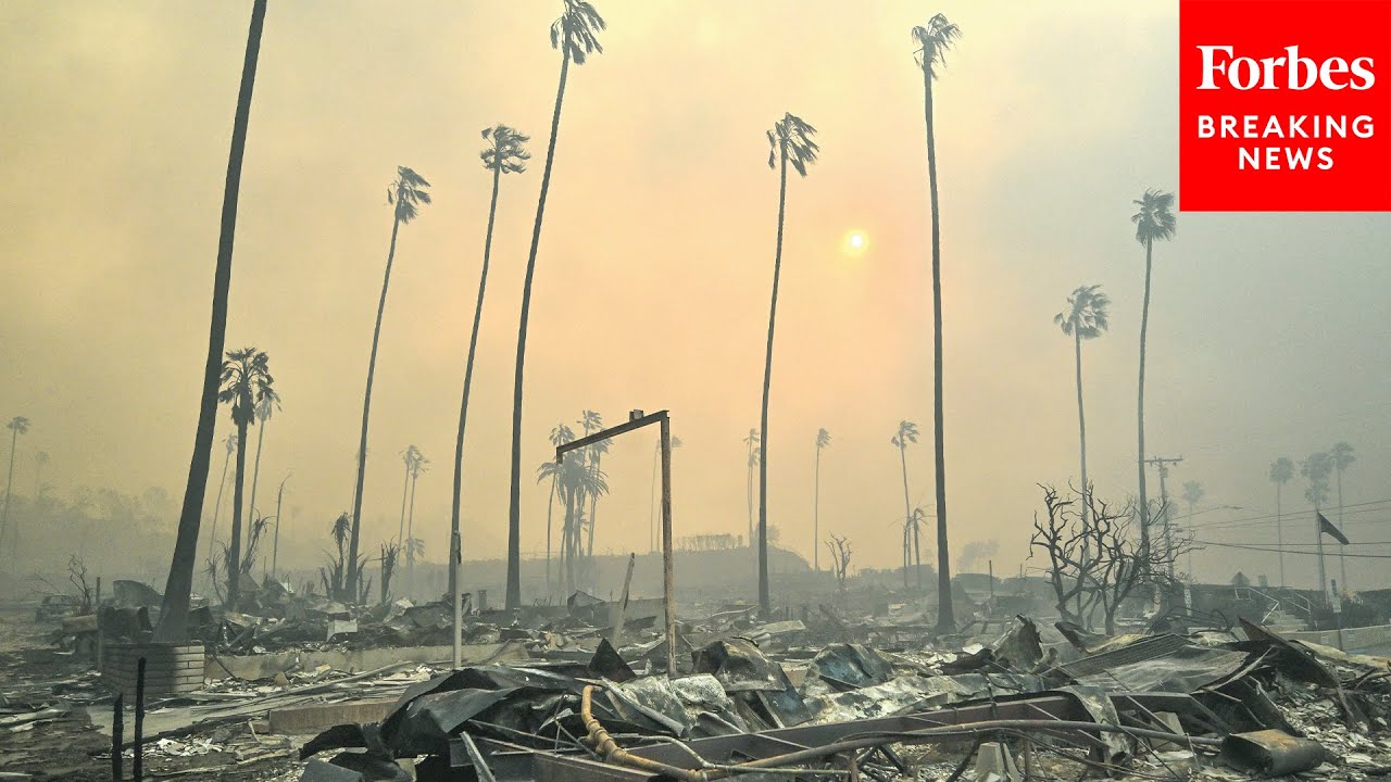 USAGal2645's tweet card. Senate Aging Committee Holds Field Hearing About The Palisades Fire...