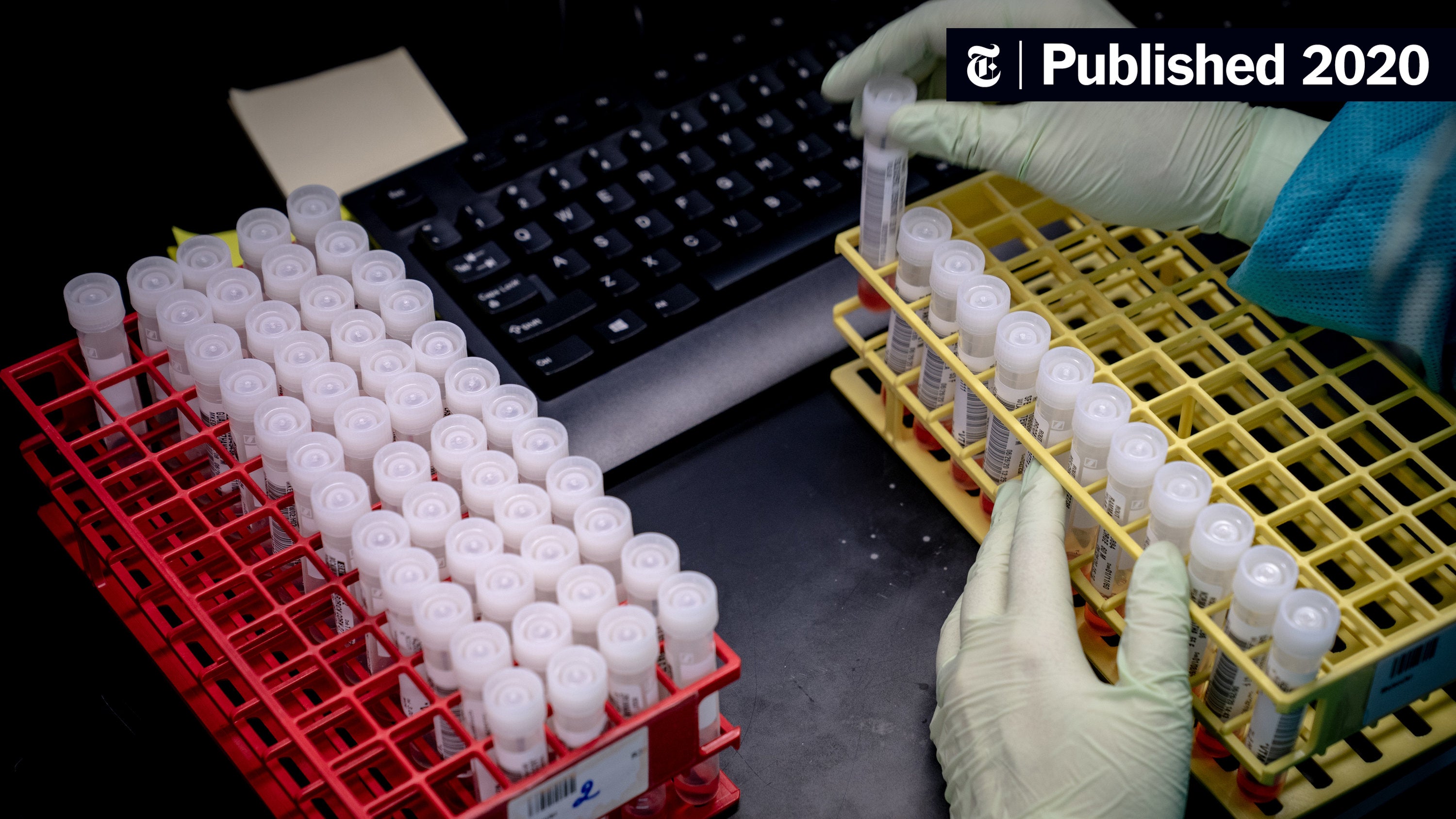 ProjectLincoln's tweet card. Hospitals have been ordered to bypass the Centers for Disease Control and Prevention and send all patient information to a central database in Washington, raising questions about transparency.