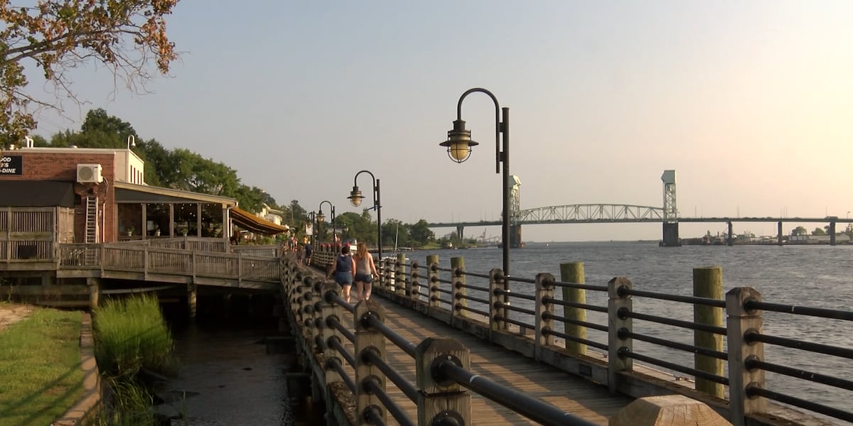 FishingTweets31's tweet card. The Wilmington Vegan Chef Challenge has announced who won the challenge after over 450 votes were cast during the course of a month.