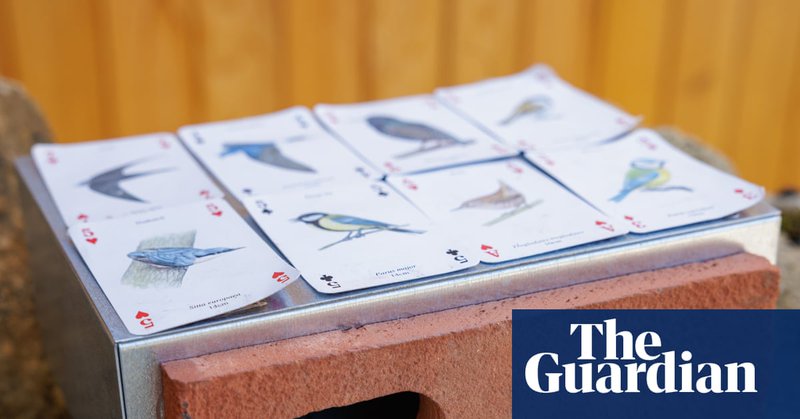 Tweet card summary image