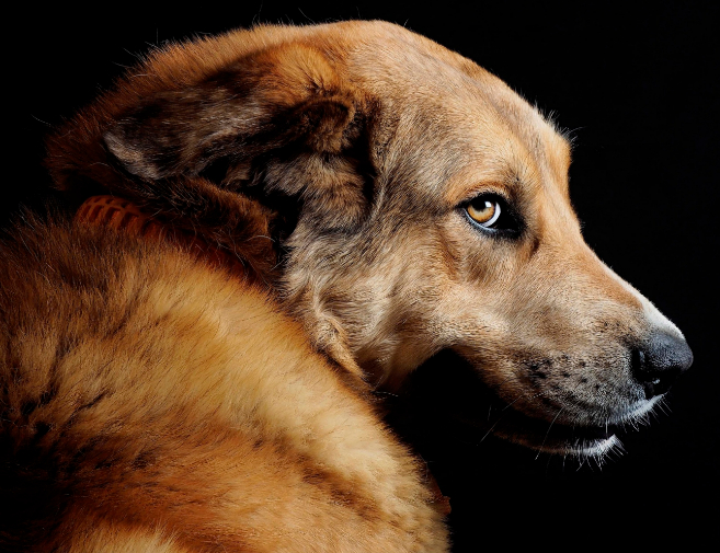 noimportaeldest's tweet card. Nadie sabe qué le pasó a Ulrich. No se deja fotografiar. A veces llega a posar ante ese fondo negro que Andrés López lleva siempre consigo, pero le da la espalda en cuanto ve asoma