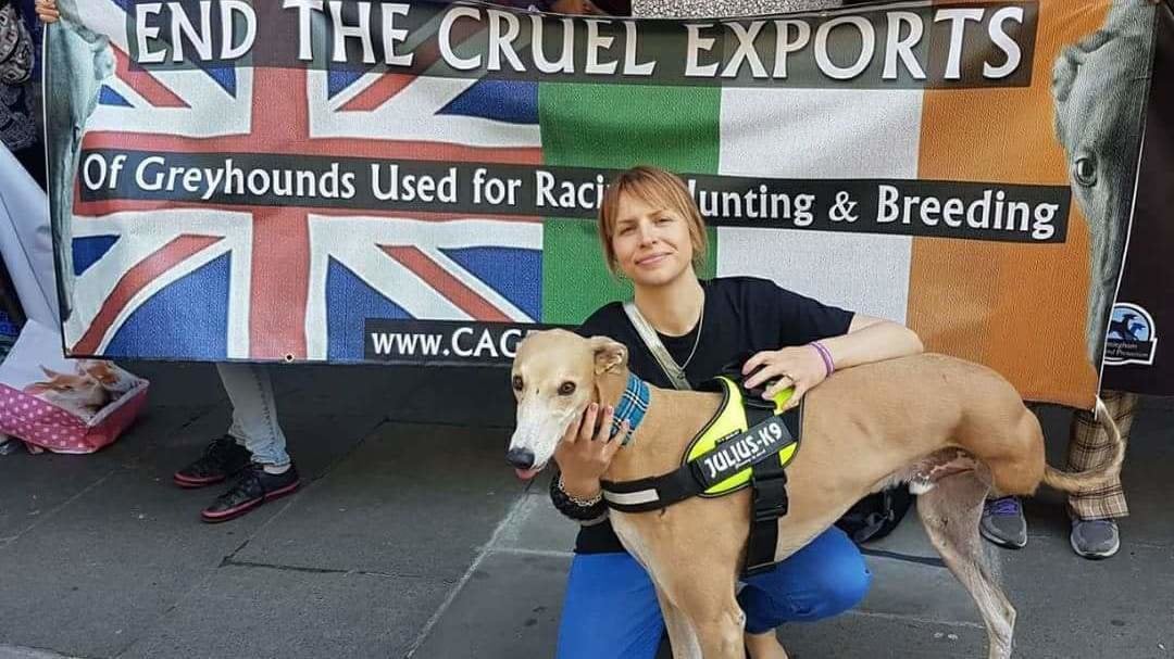 GAlldogs's tweet card. SAY 'NO' TO ALL LIVE GREYHOUND EXPORTS FOR COMMERCIAL 'USE'