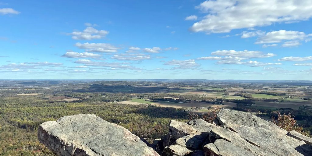 kyoag's tweet card. Political migration accelerates as neighboring states court disaffected voters fleeing blue state policies following recent Democratic electoral victories.