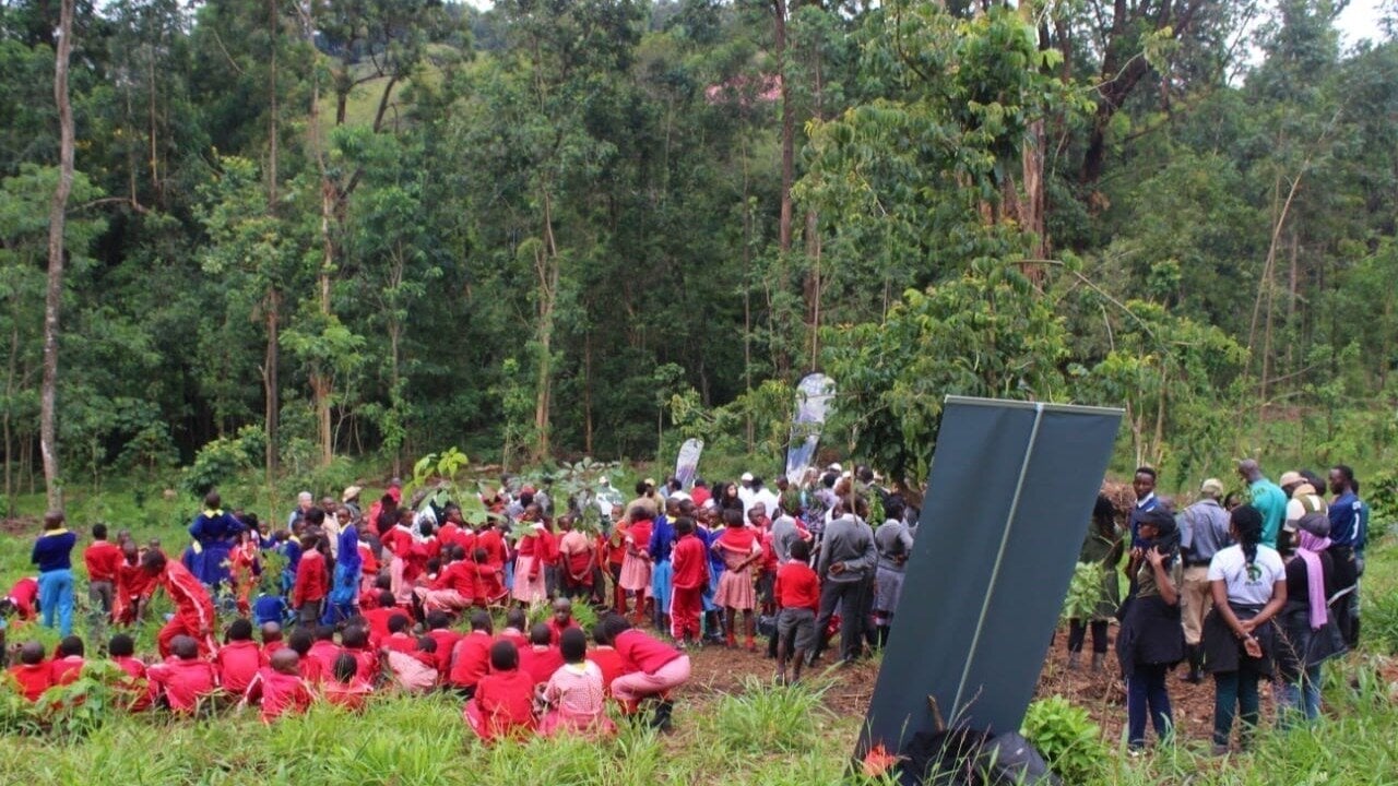 fusion_skills's tweet card. Save the People's Forest: Karura Forest