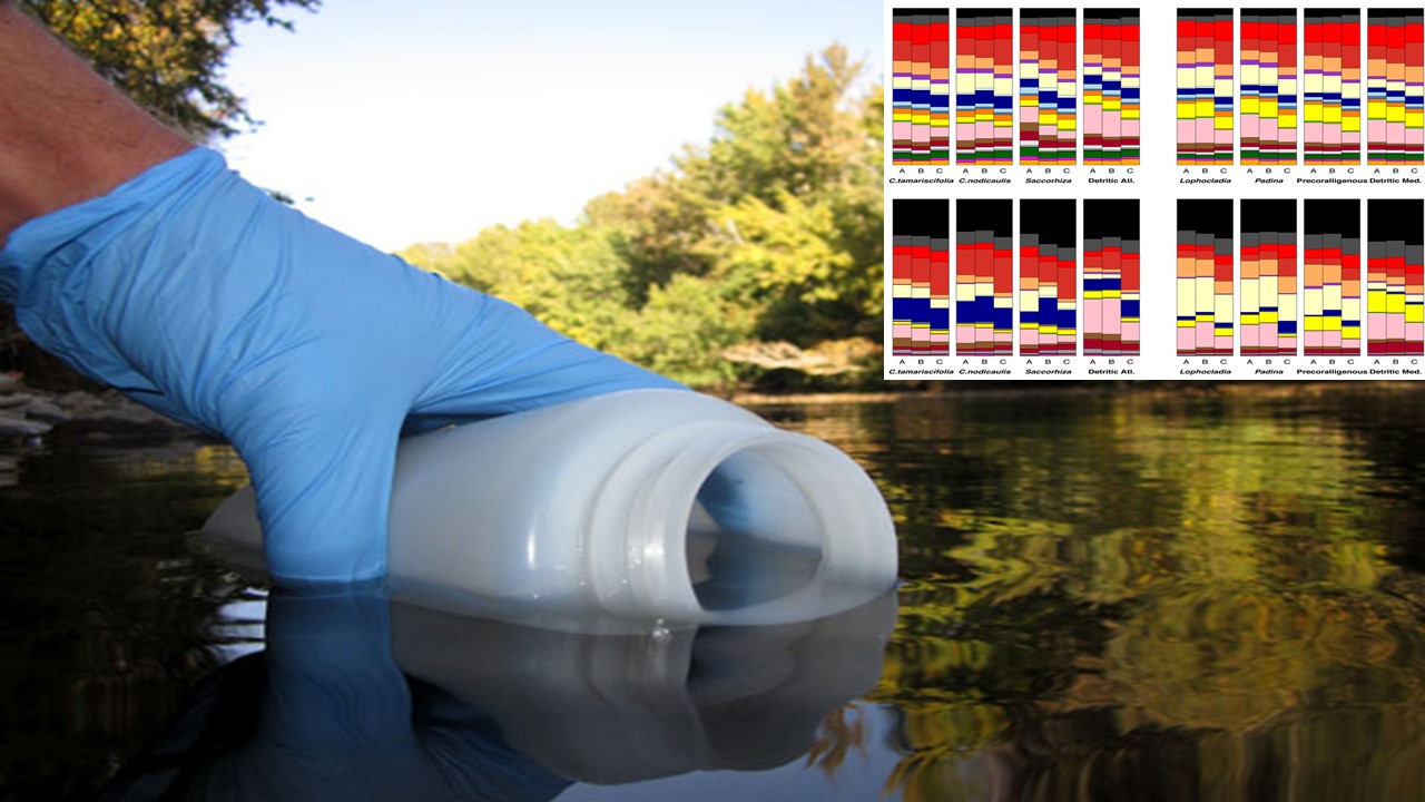 Physacourses's tweet card. 23-27 February 2026 To foster international participation, this course will be held online