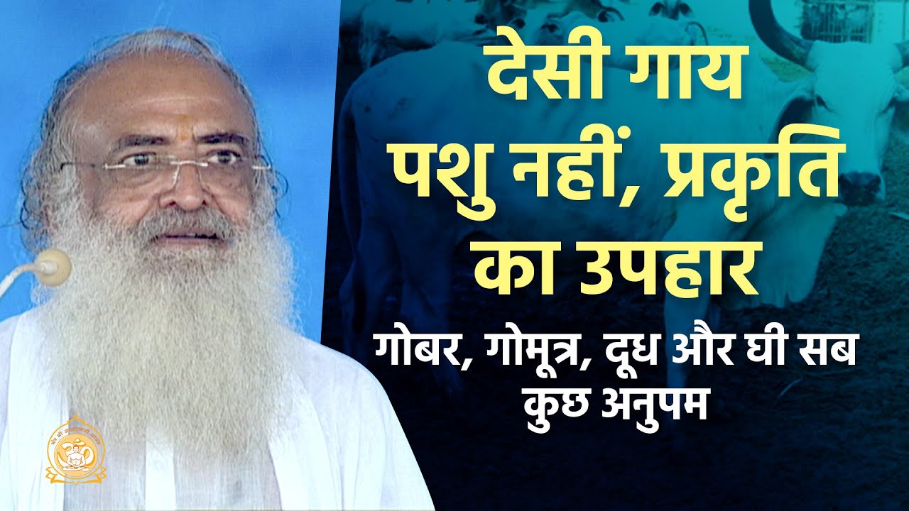 satishsonisoni1's tweet card. देसी गाय पशु नहीं, प्रकृति का उपहार - गोबर-गोमूत्र-दूध और घी सब कुछ...