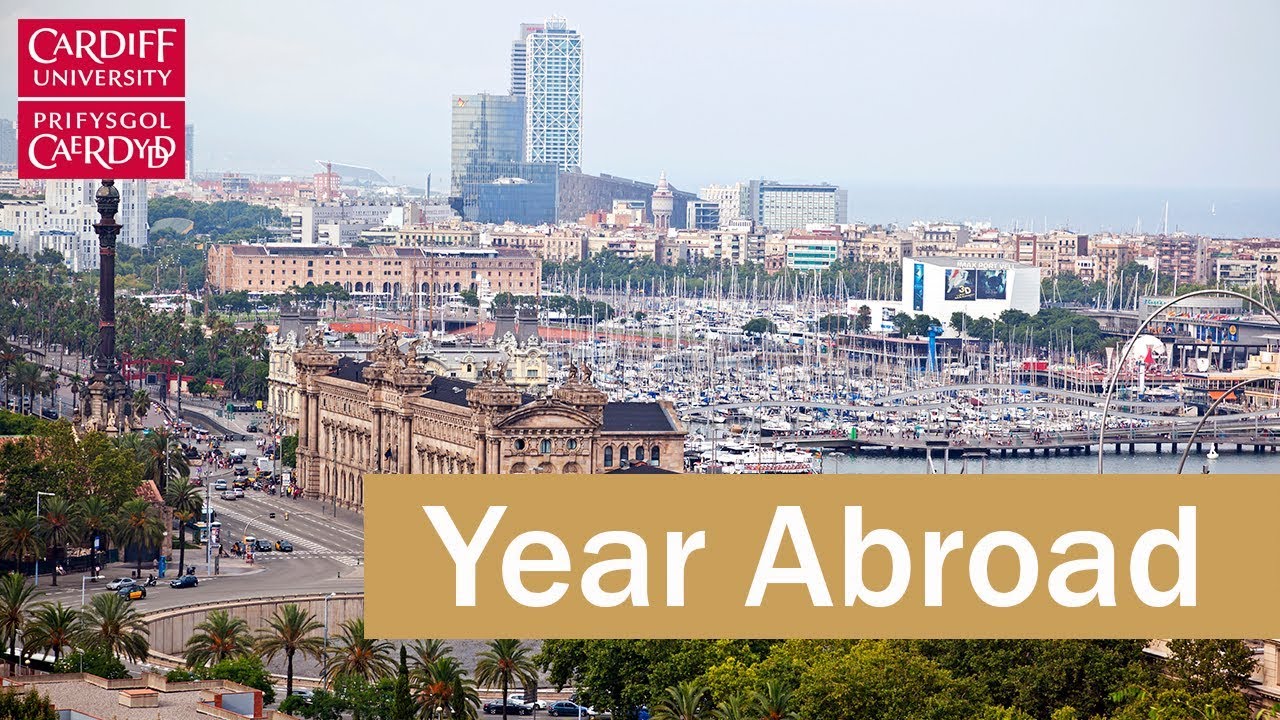 CatInLanguages's tweet card. Choose a year living, studying and teaching abroad