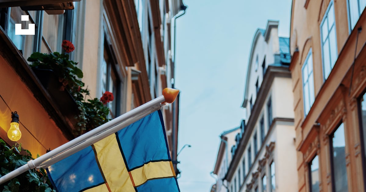 design_hue's tweet card. Scarica questa foto di Linus Mimietz su Unsplash