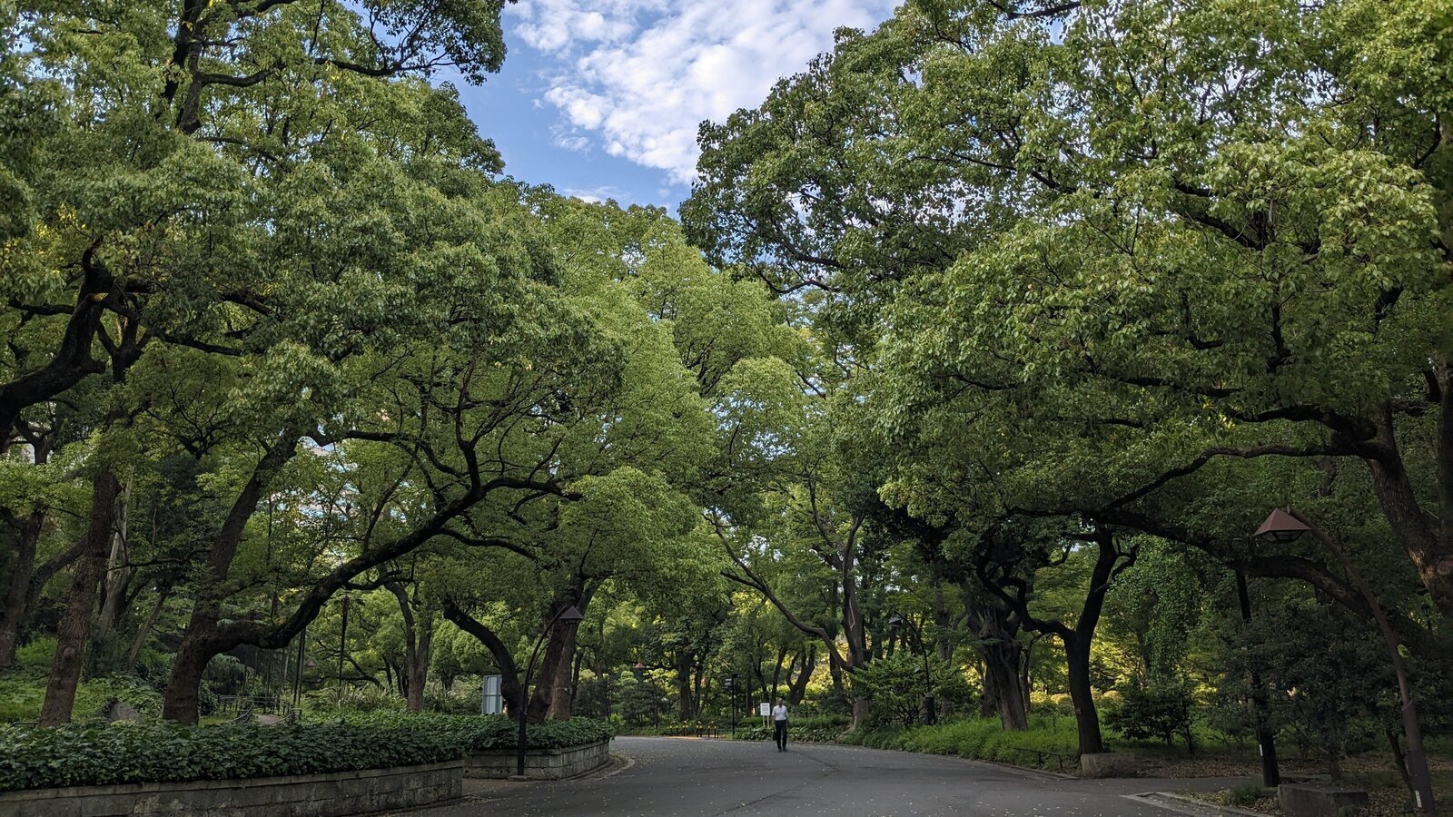 diffstrokes4art's tweet card. 日本最初の近代的洋風公園・日比谷公園の歴史と1000本の樹木を破壊しないで！