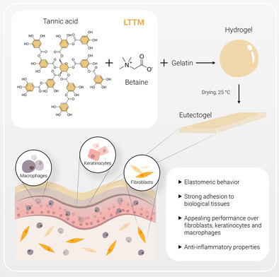 MatiasPicchio's tweet card. This work presents the first example of multifunctional protein eutectogels based on a tannic acid: betaine low-transition-temperature mixture, exhibiting elastomeric behavior, strong adhesion to...