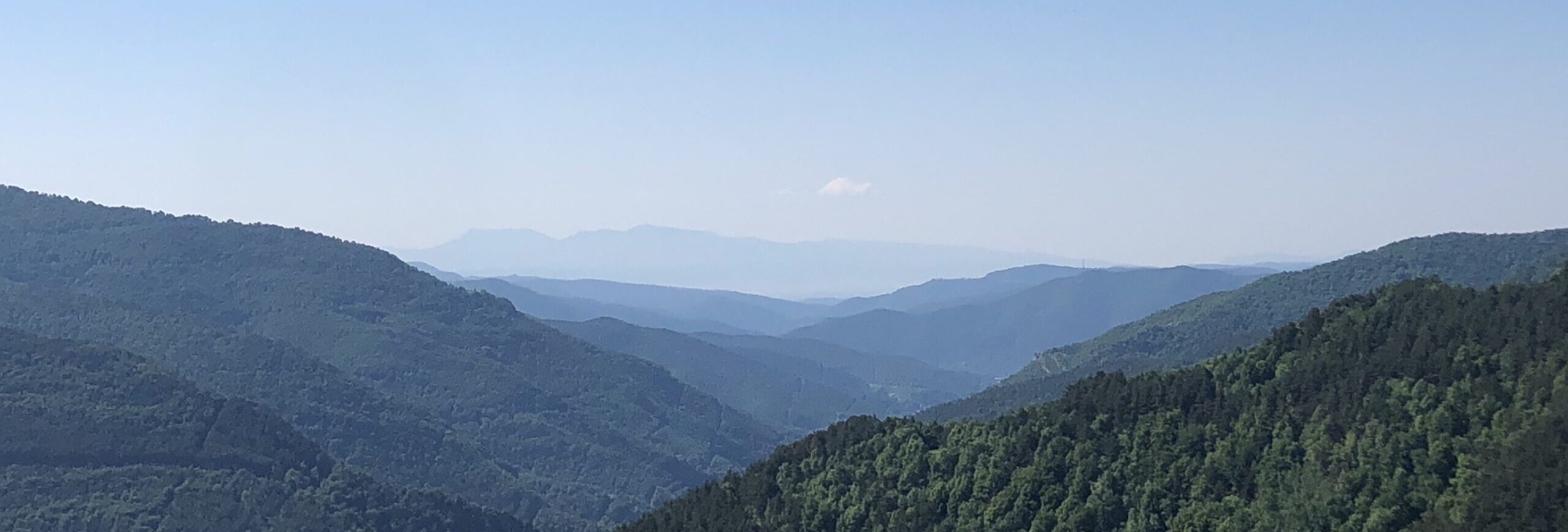 paulabartabajo_'s tweet card. Practical advice on ML and freelancing.