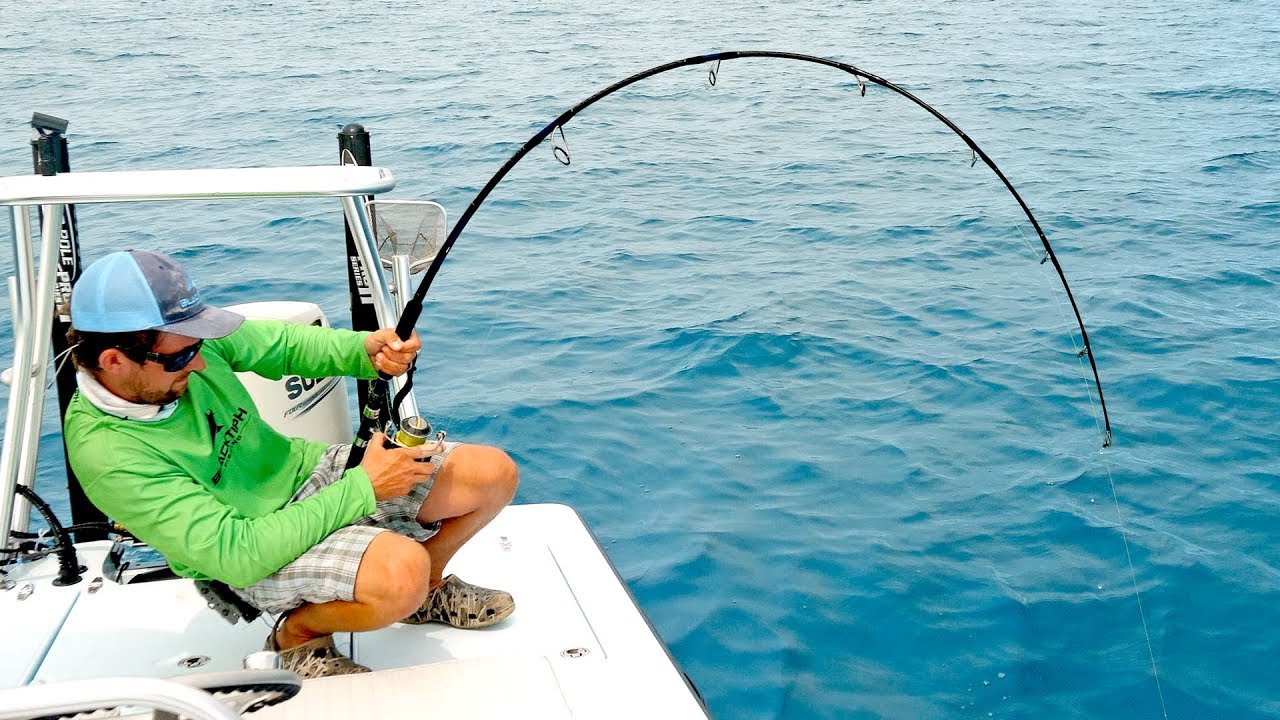 RedDotComm's tweet card. Using a Drone to Find & Catch Giant Fish