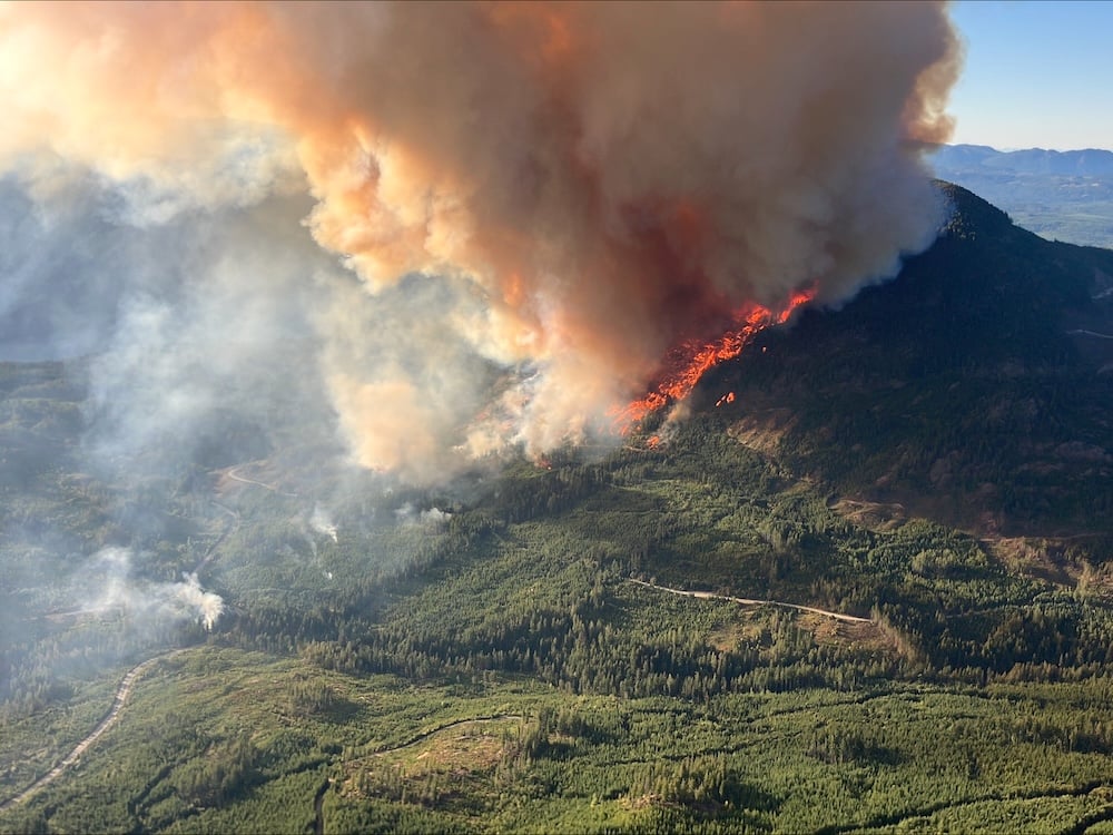 HarassNoMore's tweet card. Canadians face a growing threat, but changes could reduce the danger.