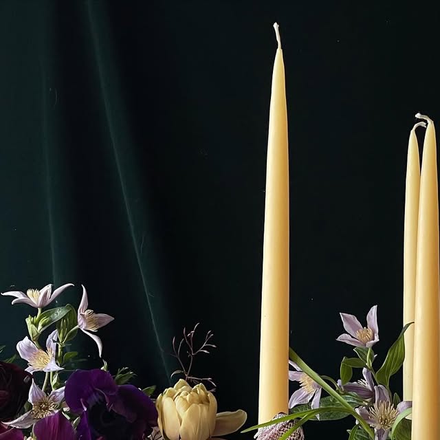 aeandco1's tweet card. Alexis Eskenazi & Co.™ • AE&Co. (@aeandco) • Instagram photo