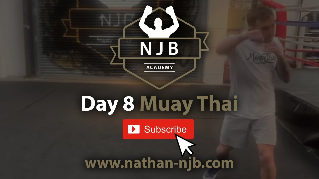 domin8academy's tweet card. NJB - Day 8 (Online Training)