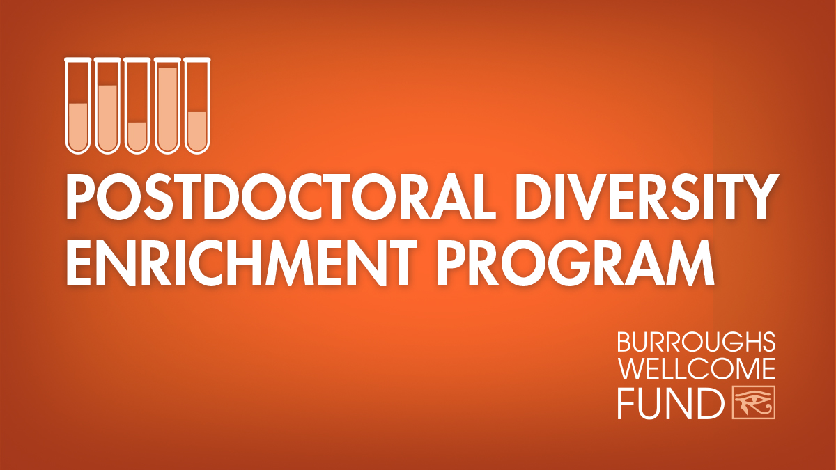 BWFUND's tweet card. Research Triangle Park, NC, June 11, 2024—The Burroughs Wellcome Fund (BWF) is proud to announce the recipients of the 2024 Postdoctoral Diversity Enrichment Program (PDEP) awards. This program is...