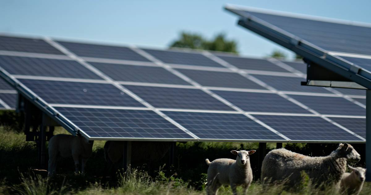 LykkeRicard's tweet card. Hvis vi ikke bliver bedre til at genanvende solceller, ender vi med flere tons solcelleaffald i fremtiden.