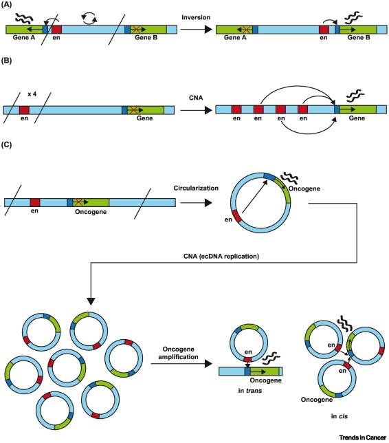 jsantoyo's tweet card. It is widely recognized that cancer develops through a series of changes that modify the genomes of normal cells, enabling them to acquire new malignant properties. Epigenetic disruptions, which do...