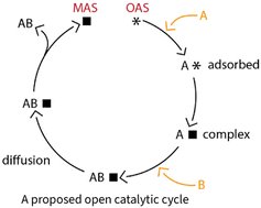 drtoyinfomojola's tweet card. Concepts are introduced for quantitatively incorporating multiscale dynamic processes into reaction kinetics during heterogeneous catalysis. Across the active sites, catalyst surface, grain, pellet,...