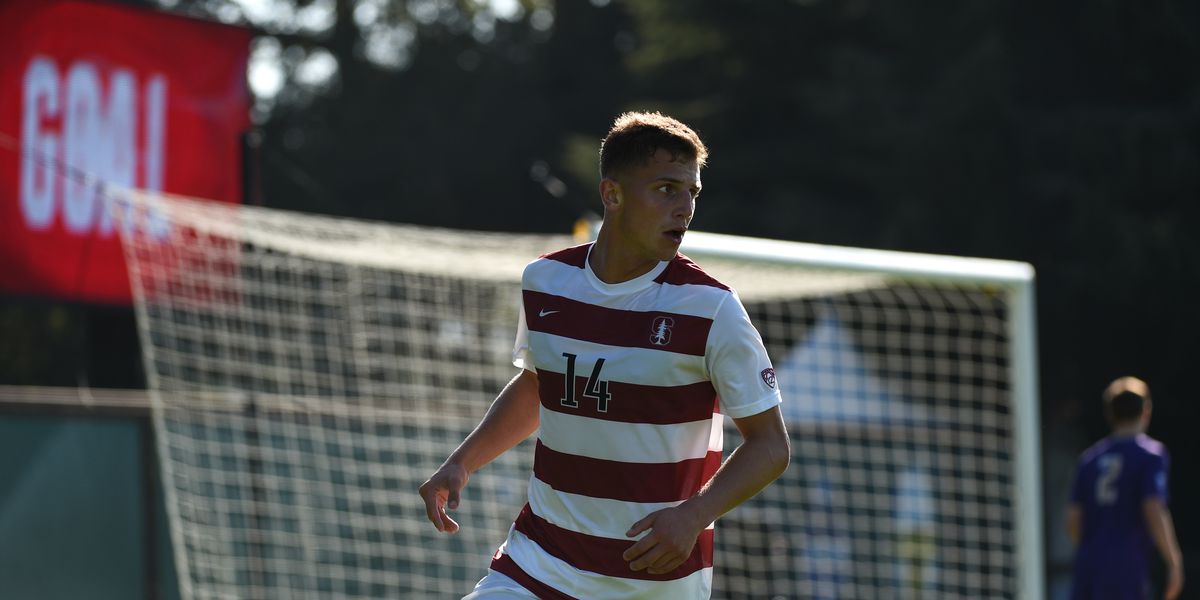 RuleofTree's tweet card. Pac-12 champs hope they can find more national glory.