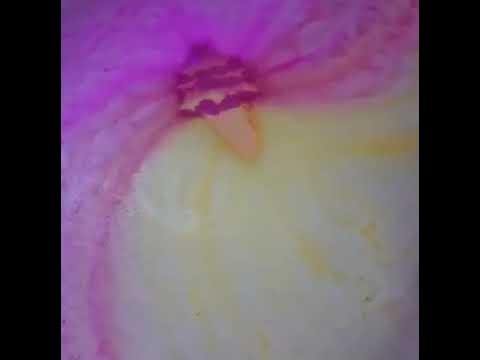 RelaxInStyle2's tweet card. Relax In Style - Icecream Bath Bomb