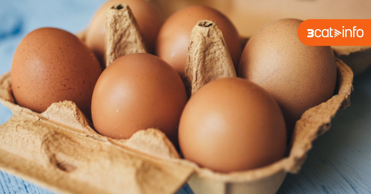 COenAccio's tweet card. A l'octubre l'IPC a Catalunya es va mantenir en el 2,6%, per sota de la mitjana espanyola, que és del 3,1%