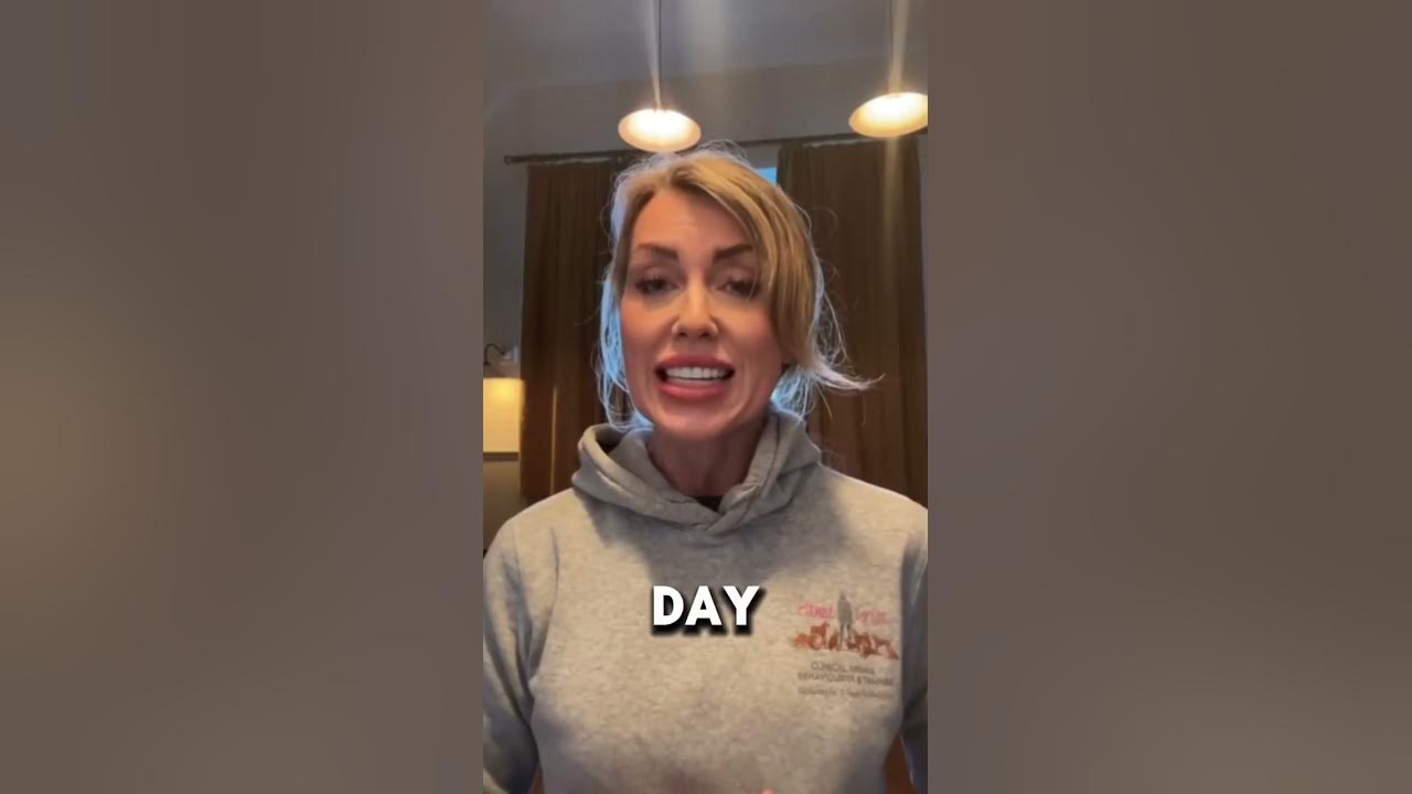 hannegrice's tweet card. How does…? A dog tell the time #dogs #animalscience #dogbehavior