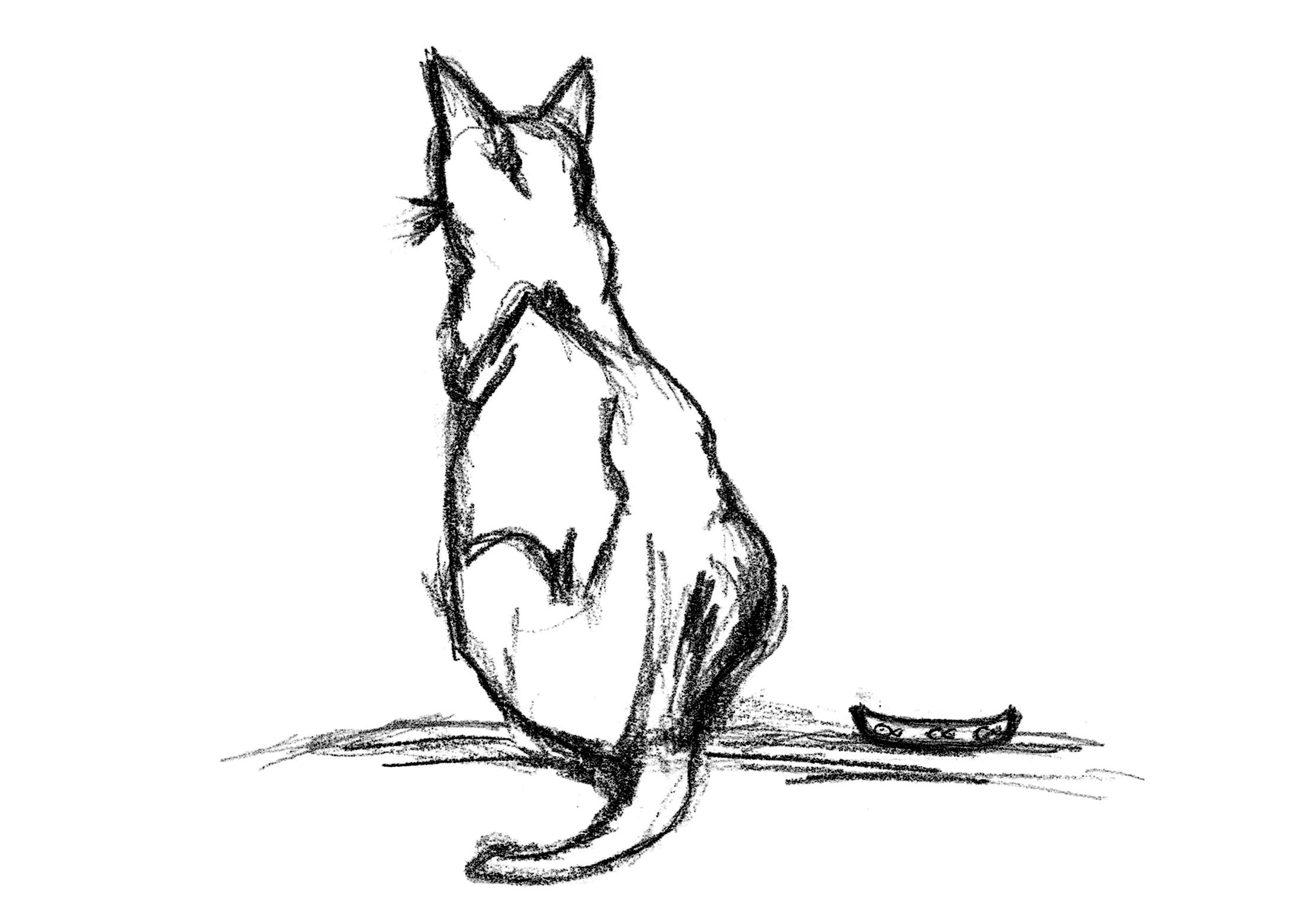 Shallow_Deeply's tweet card. The inspiration behind the parables of the Cat, and how we see change, how we deal with pressure and seeing the bigger picture rather than just flee from pain