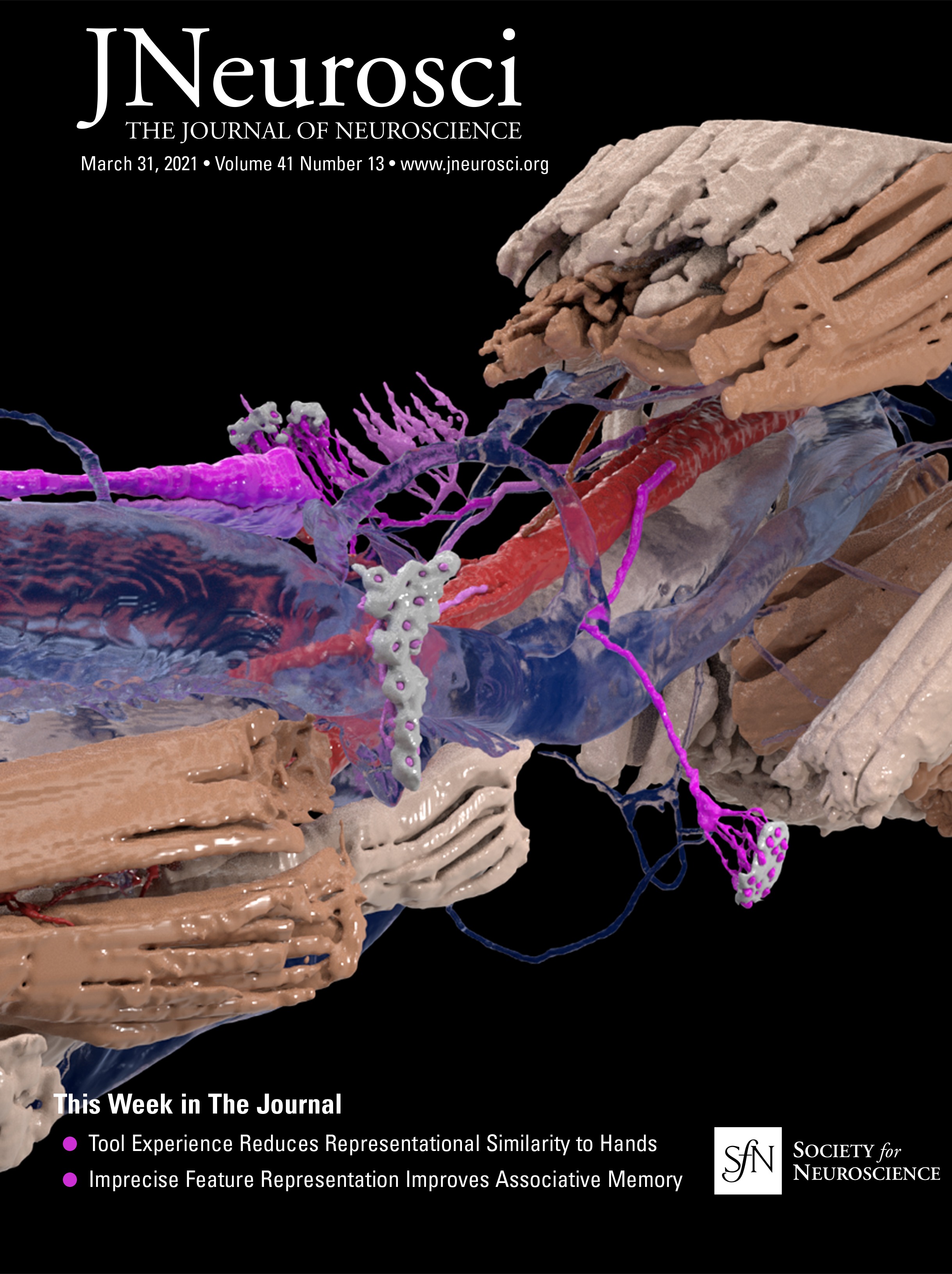 mere_conjecture's tweet card. Alzheimer's disease is a devastating neurodegenerative disease with a dramatically increasing prevalence and no disease-modifying treatment. Inflammatory lifestyle factors increase the risk of...