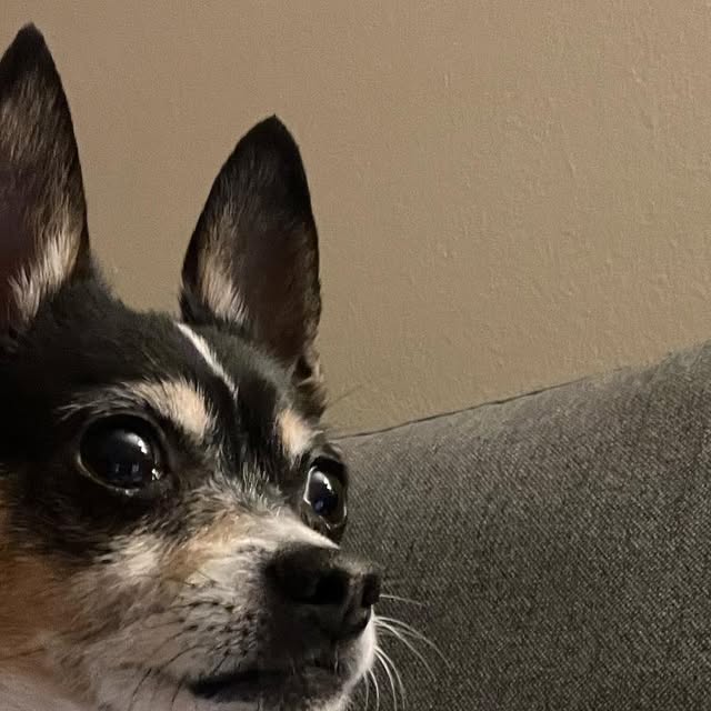 binabug92's tweet card. Ariel Sabina ♥ (@binabug92) • Instagram photos and videos