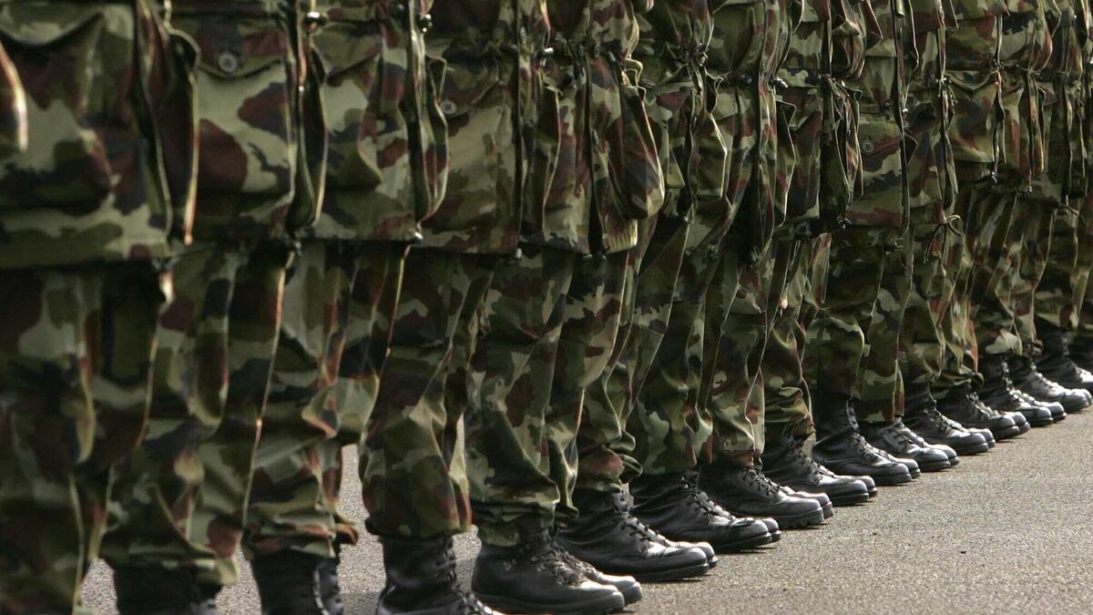 RDFRepAssoc's tweet card. RDFRA leaders told the Oireachtas that underfunding, unpaid duties, and shrinking numbers threaten the sustainability of Ireland’s reserve forces