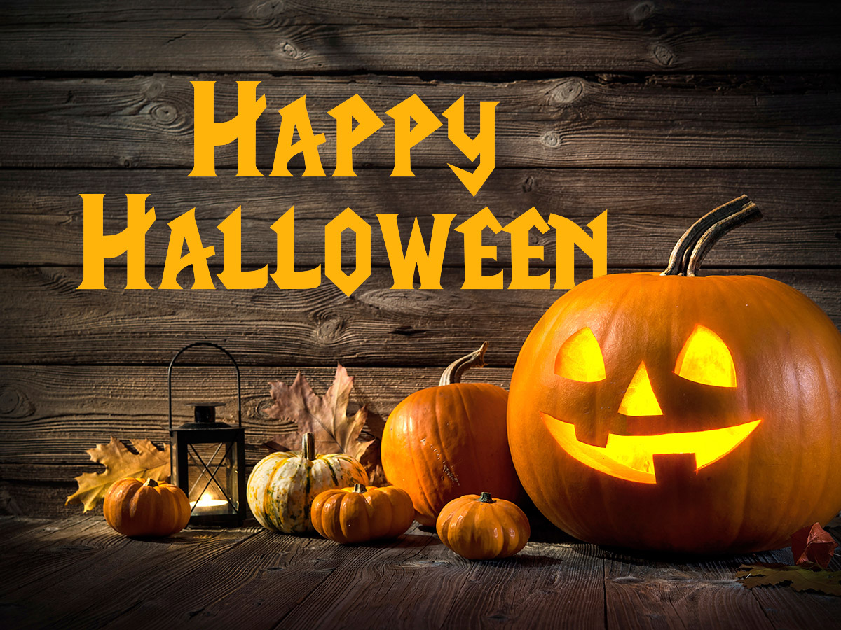 TheKeyIsNikii's tweet card. Howl at the moon, trick and treat, do whatever it takes to have a happy #Halloween. #celebrate