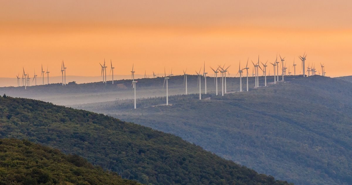 nature_org's tweet card. Late-night diplomacy at COP28 turns divisive text into path forward on climate emergency