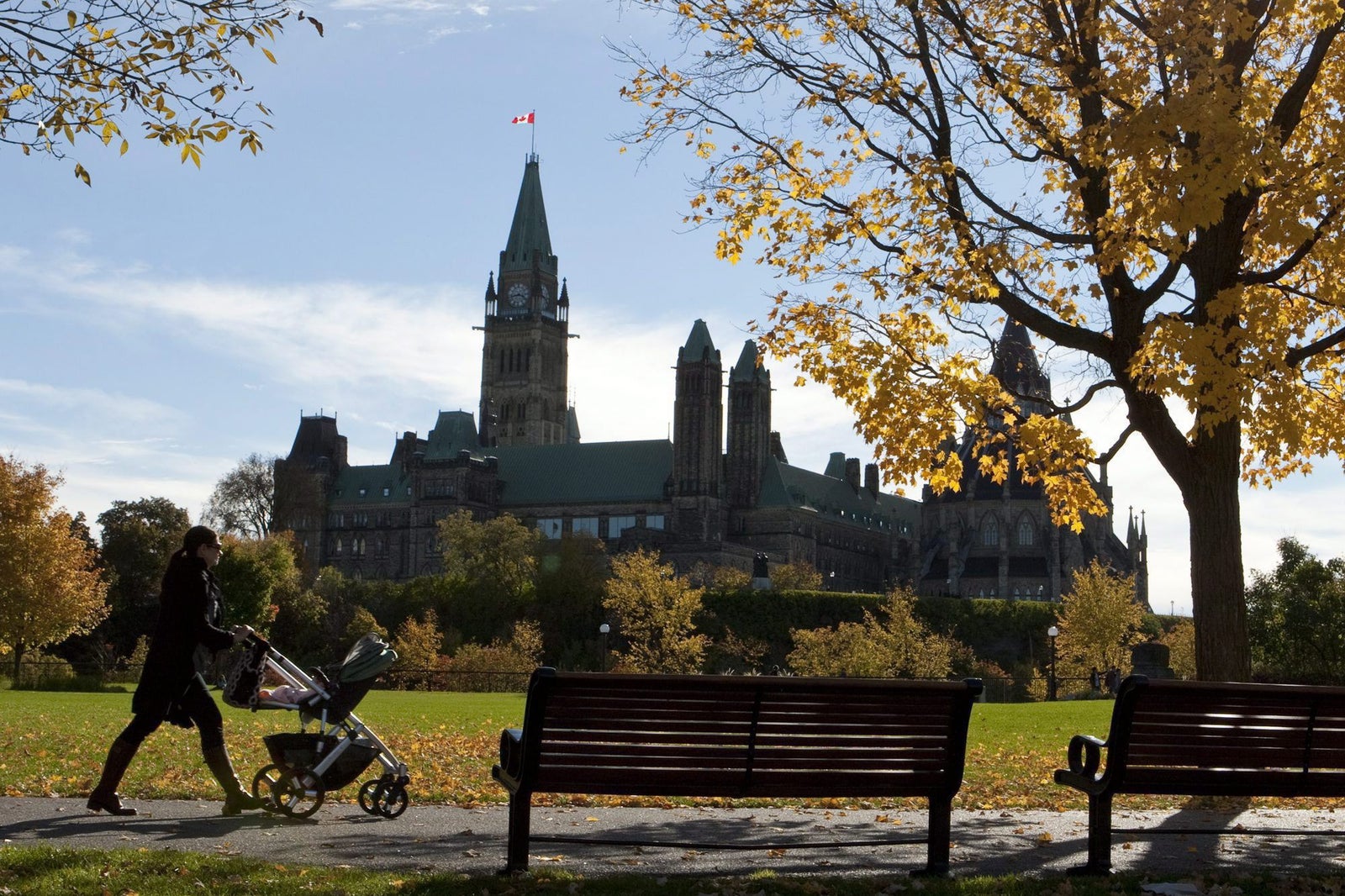 Synercis's tweet card. Les sénateurs ont maintenant l’occasion de combler cet angle mort de la politique climatique canadienne.