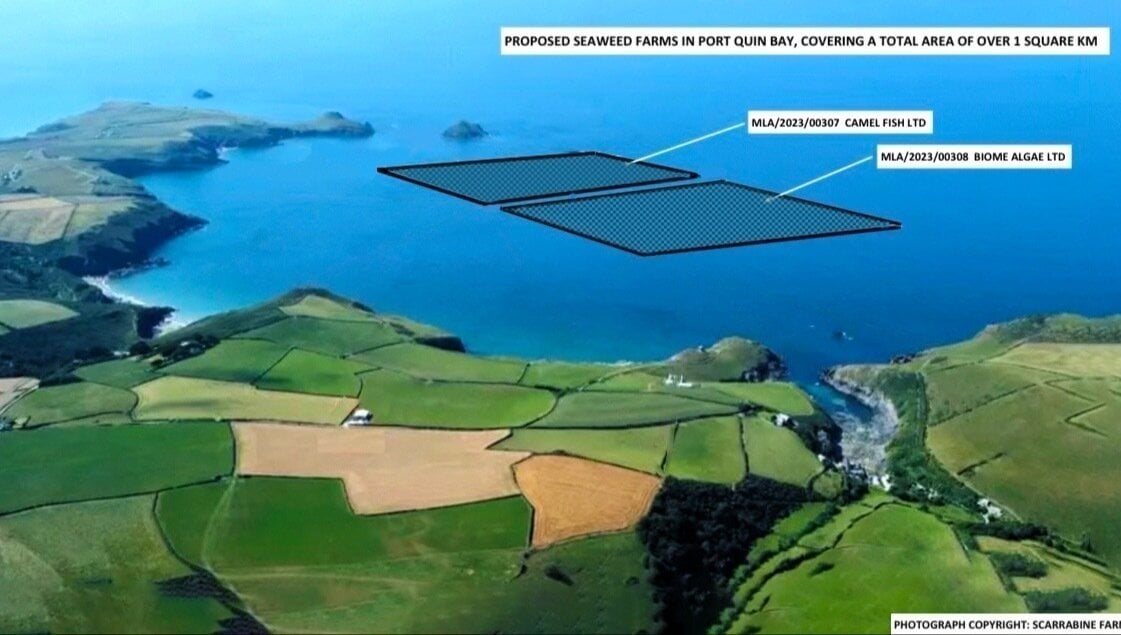 SecurusComms's tweet card. Save Our Sea