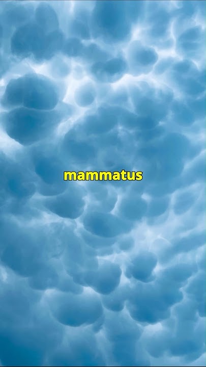 WatcherNode's tweet card. Mammatus Bulutları: Doğanın Korkutucu Gizemi! #shorts #trending...