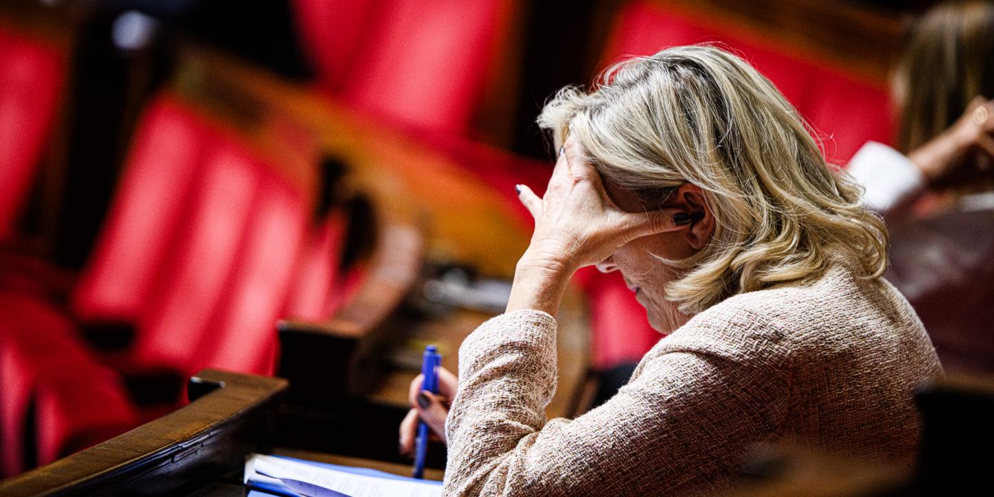 Olivier1Schmitt's tweet card. Plusieurs hauts responsables lepénistes confirment qu’une loi d’amnistie, ou une loi annulant l’exécution provisoire de l’inéligibilité, pourrait être défendue par une majorité Rassemblement national...