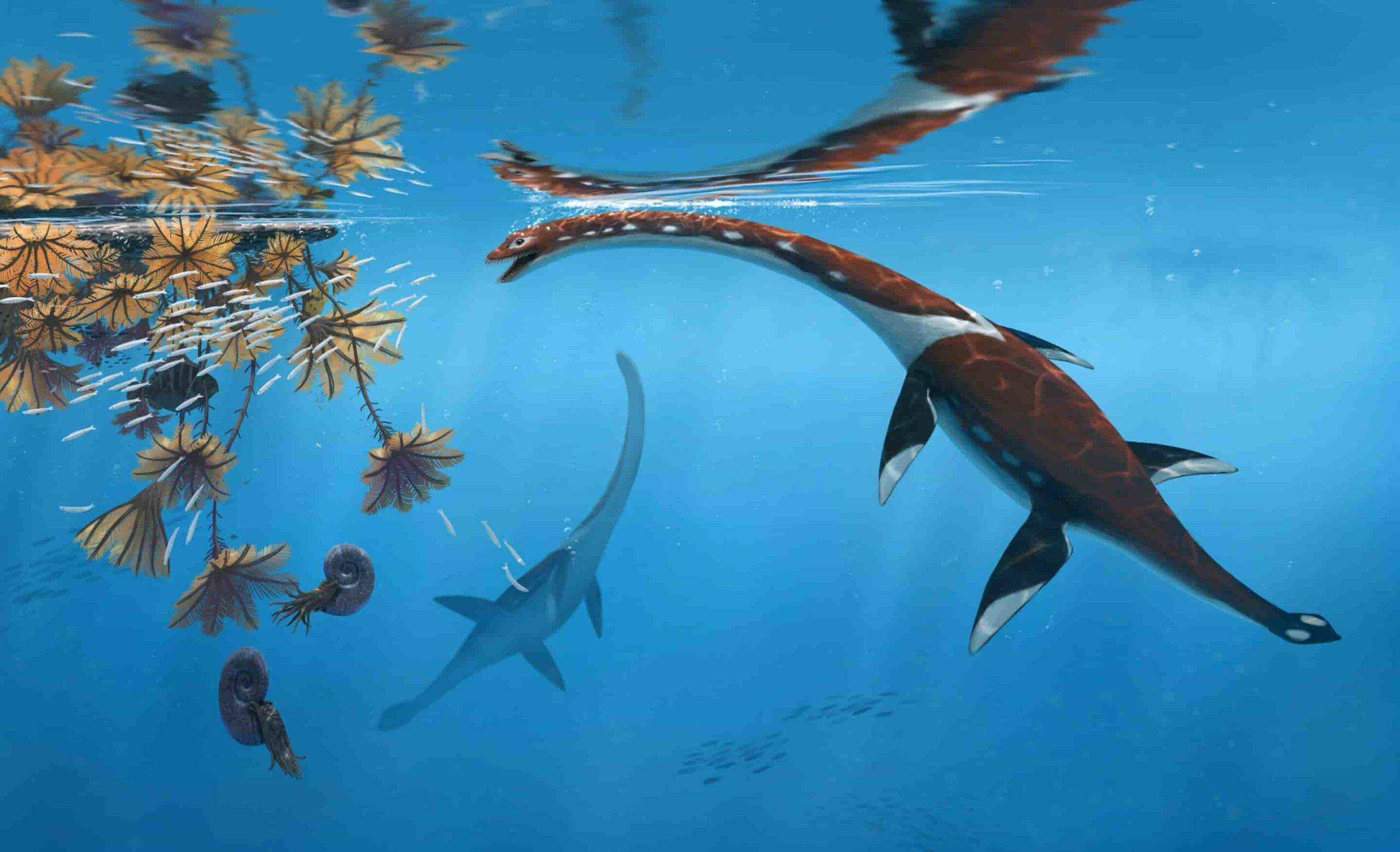 GeologyPage's tweet card. Paleontologists have identified a new species of ancient marine reptile from Germany's world-renowned Posidonia Shale fossil beds, expanding