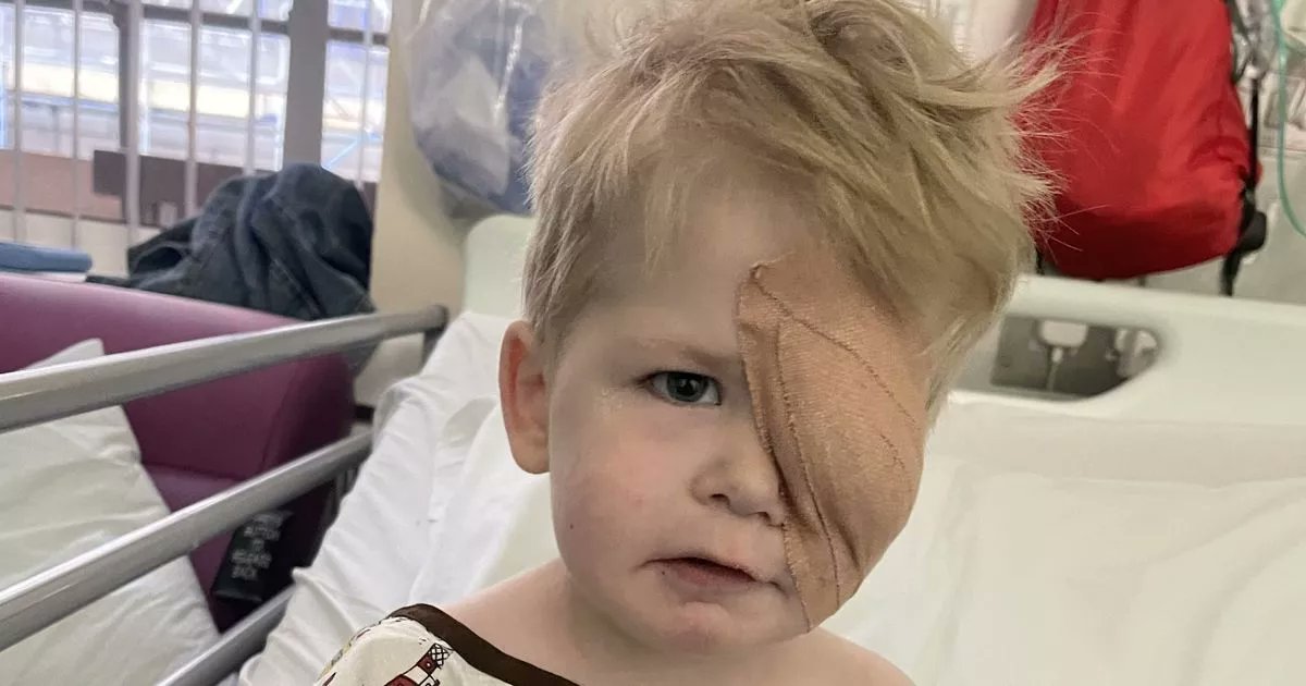 Kennedy__News's tweet card. Laura Davies, from Mold, Flintshire, says a photo taken by her two-year-old son's nursery helped save his life as it picked out a sign of a rare cancer and he was referred to Birmingham Children's...